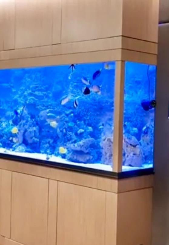 Аквариум в интерьере