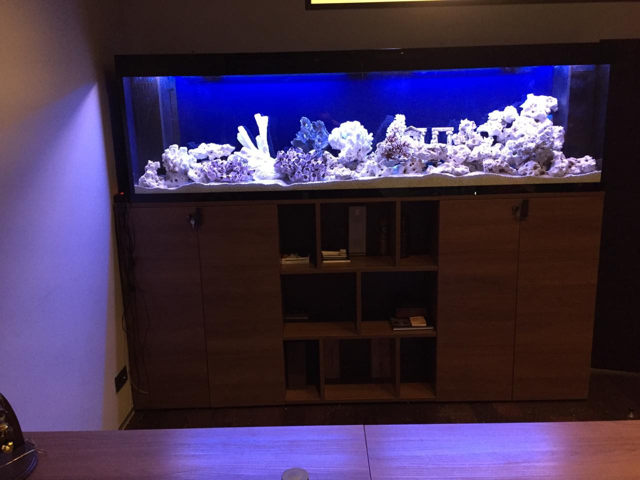 Аквариум в интерьере