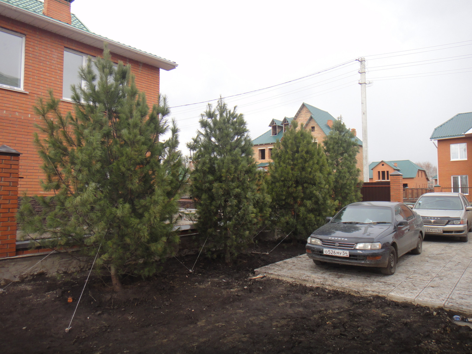 Ландшафтные работы и озеленение участка в Юрге