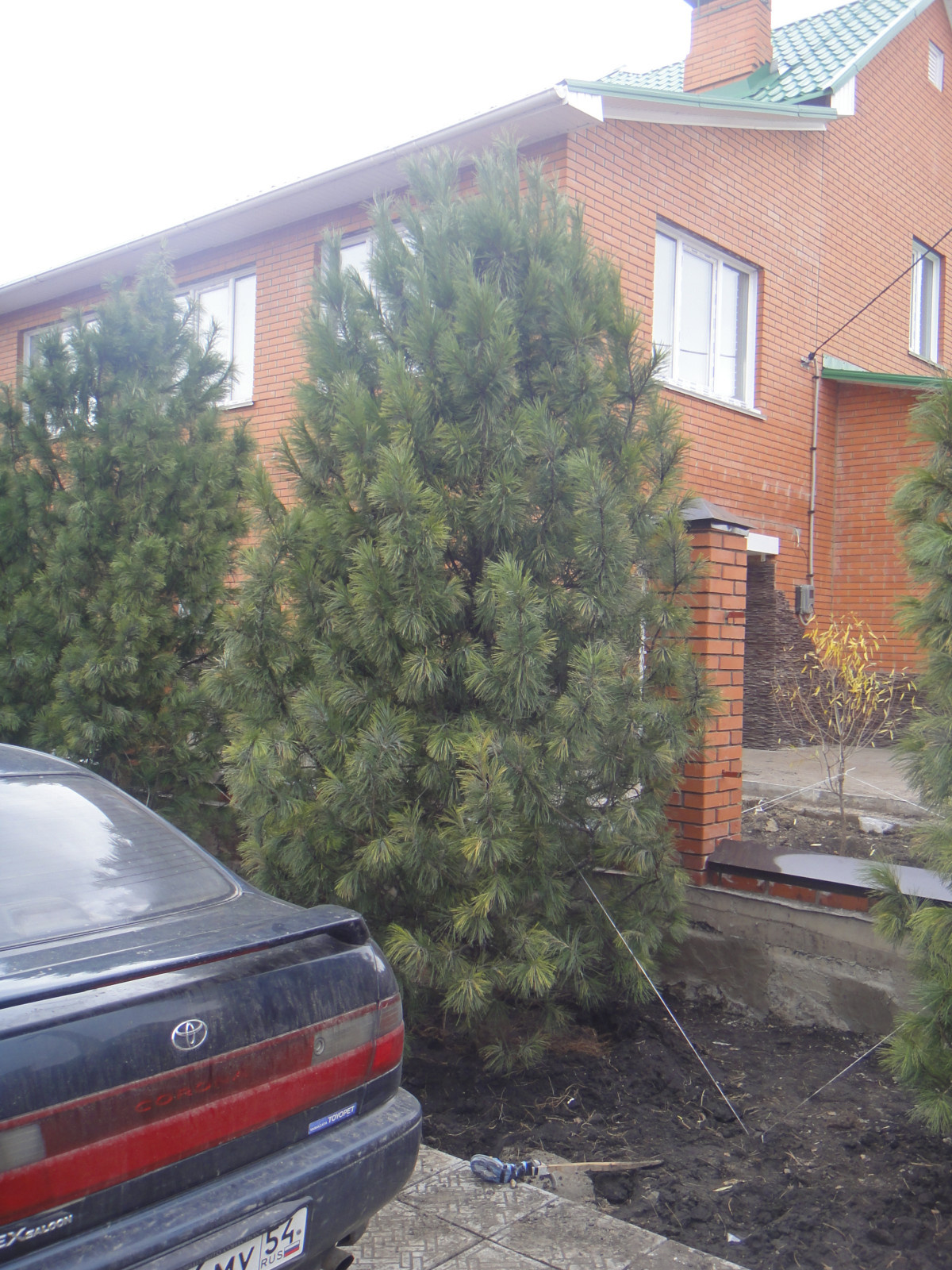 Ландшафтные работы и озеленение участка в Юрге