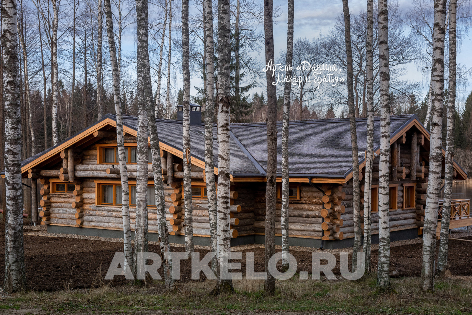 Дом Борзово