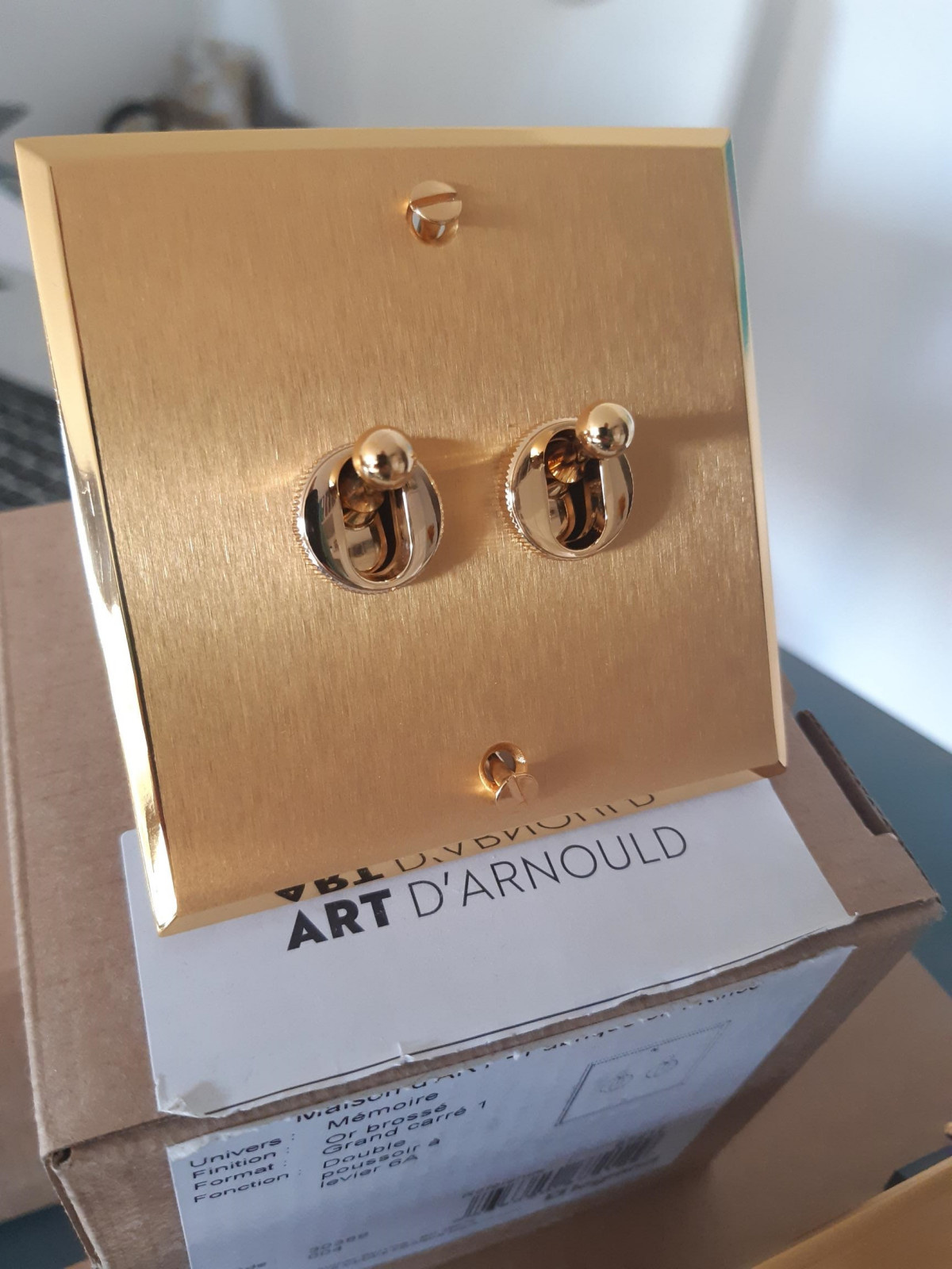 Электромонтаж квартиры в Женеве