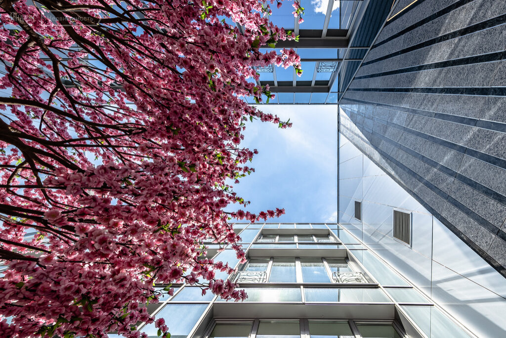 TURANDOT RESIDENCES