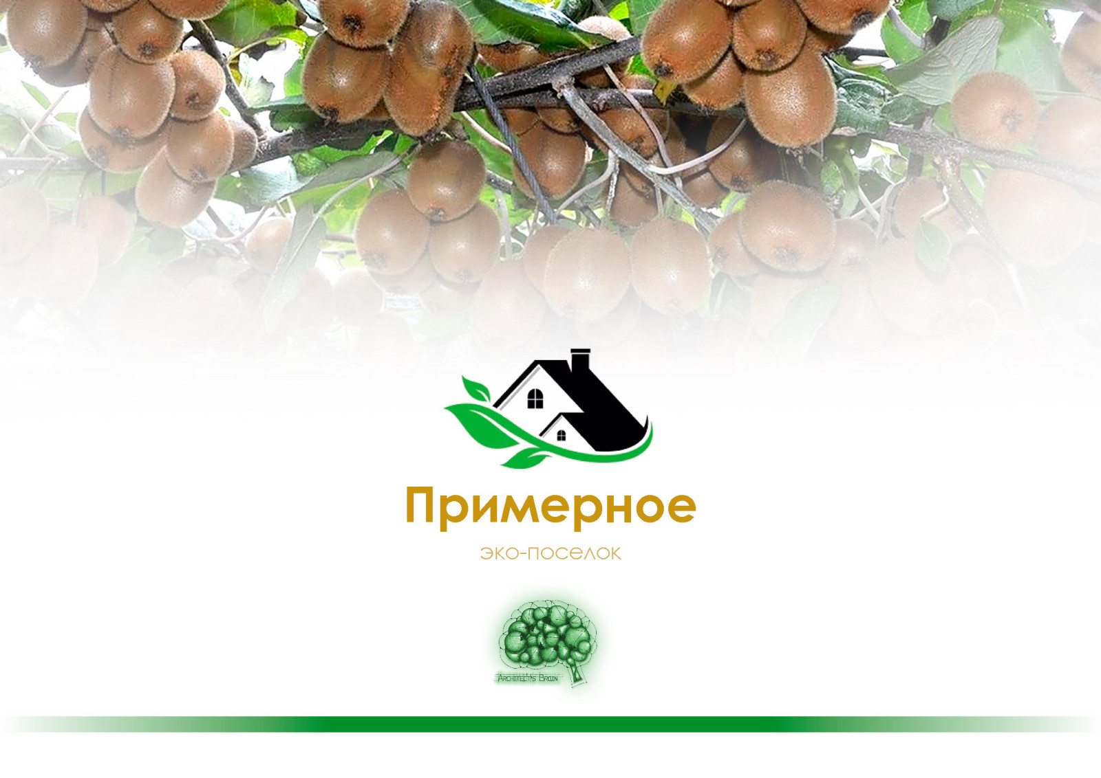 Жилой комплекс в г. Сочи