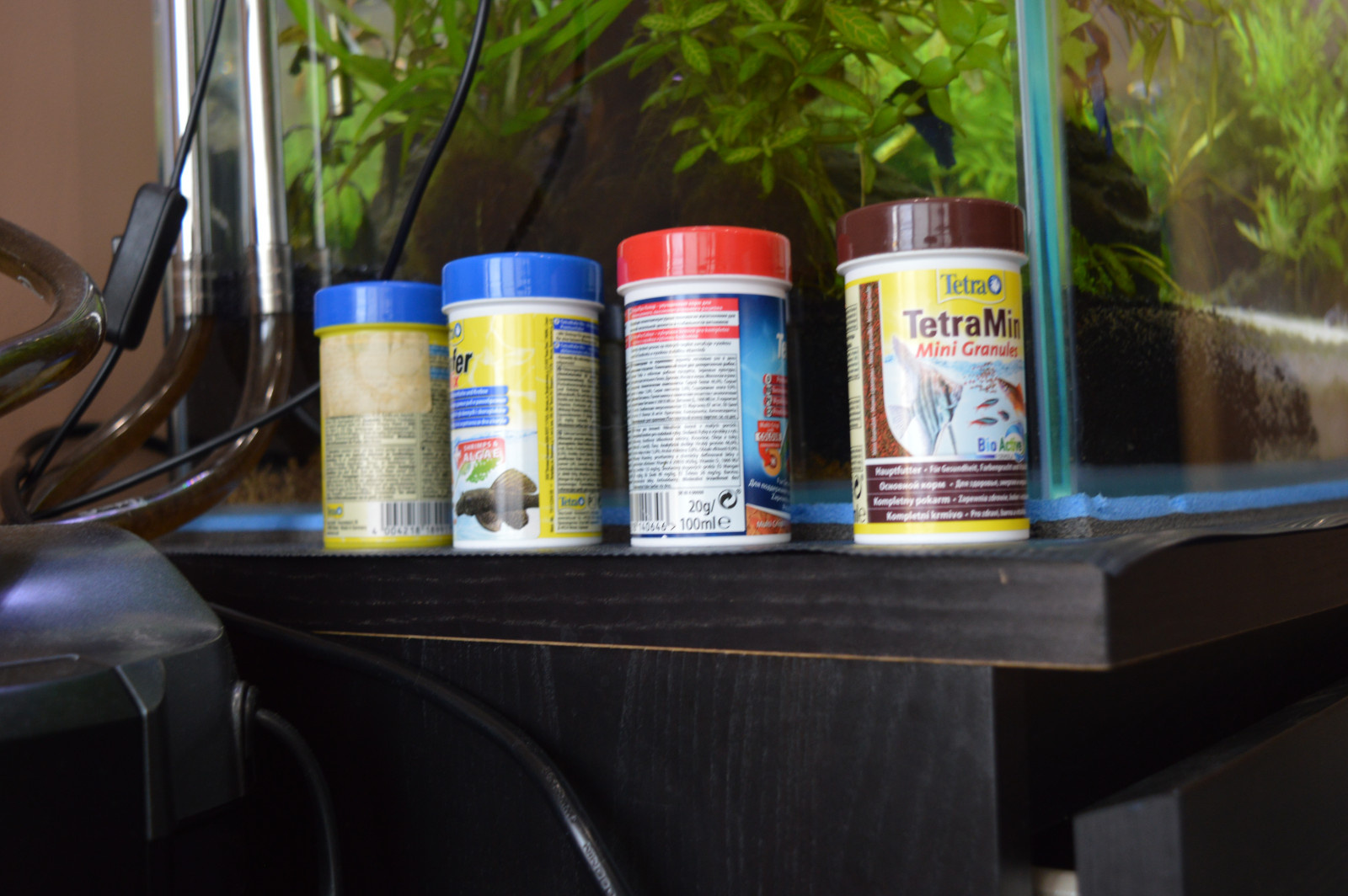 Аквариум (акваскейп) для гостиной