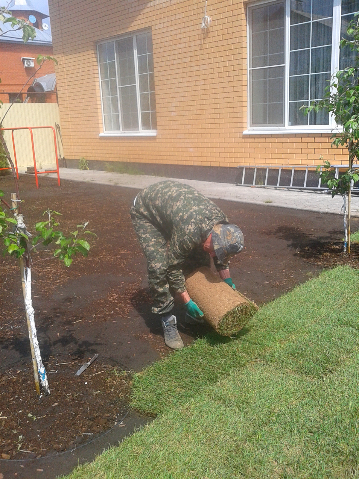 озеленение