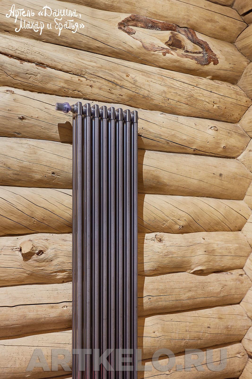 Дом Зеленые дали