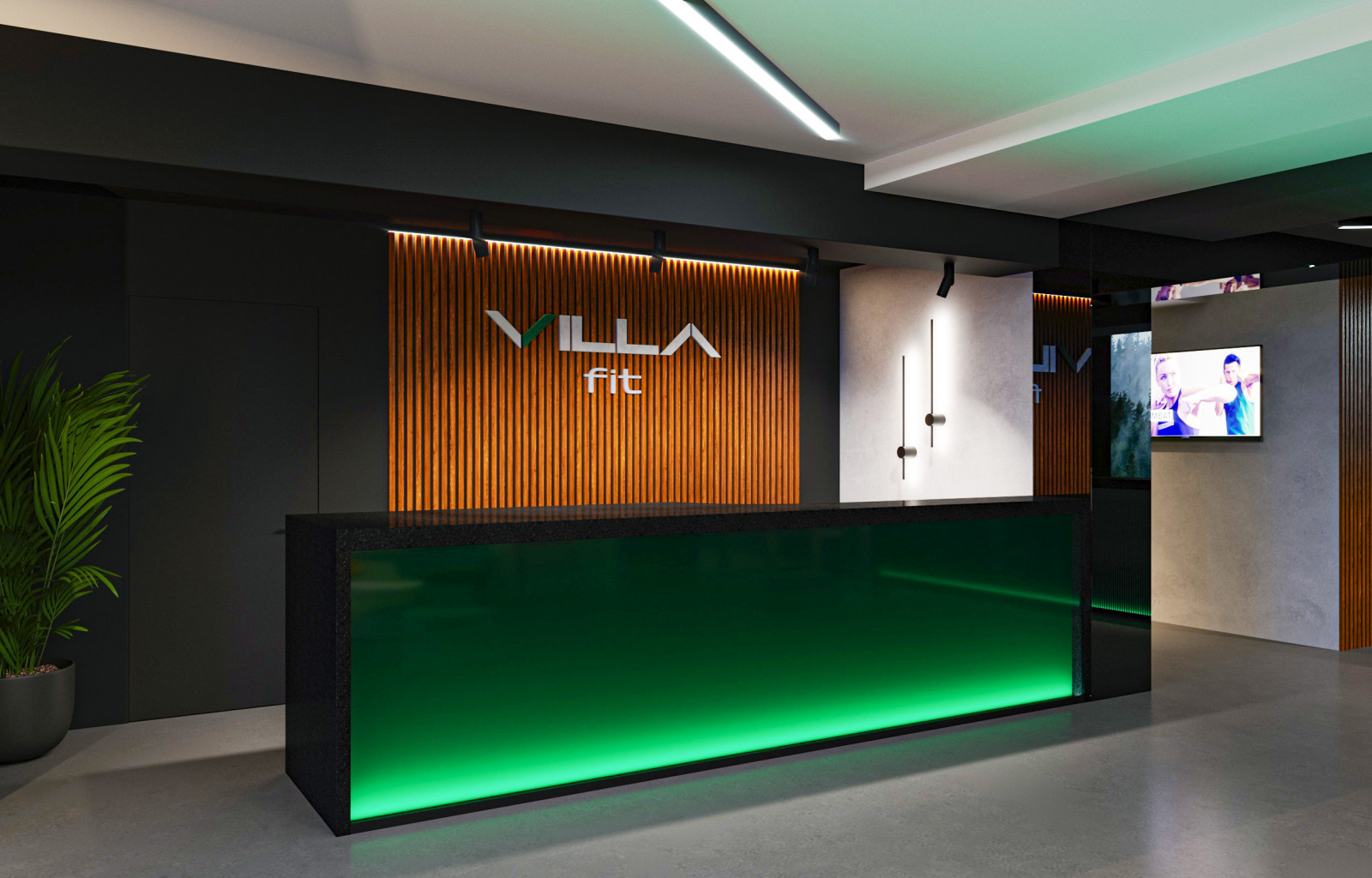 входная группа VILLA FIT