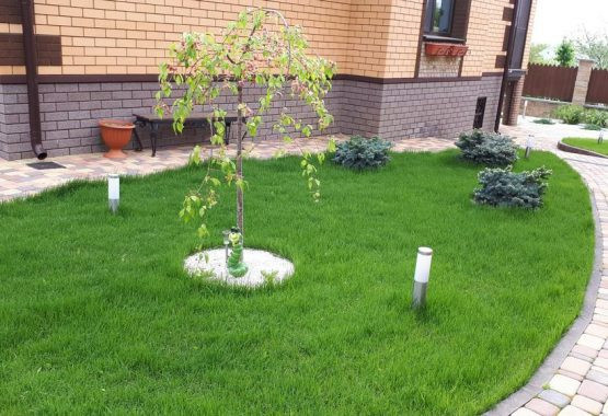 Обложка проекта: Готовые проекты