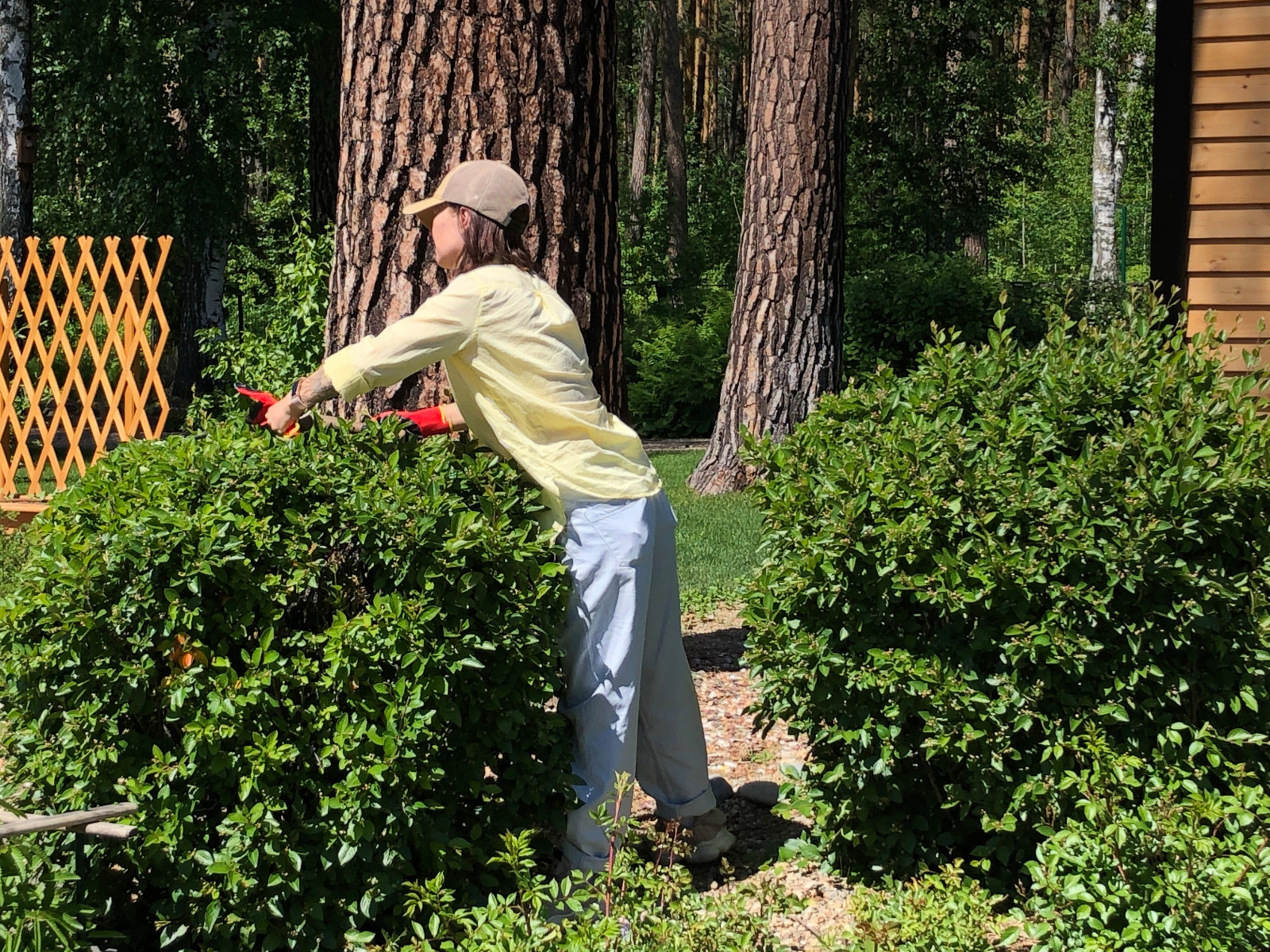 Усадьба на краю леса