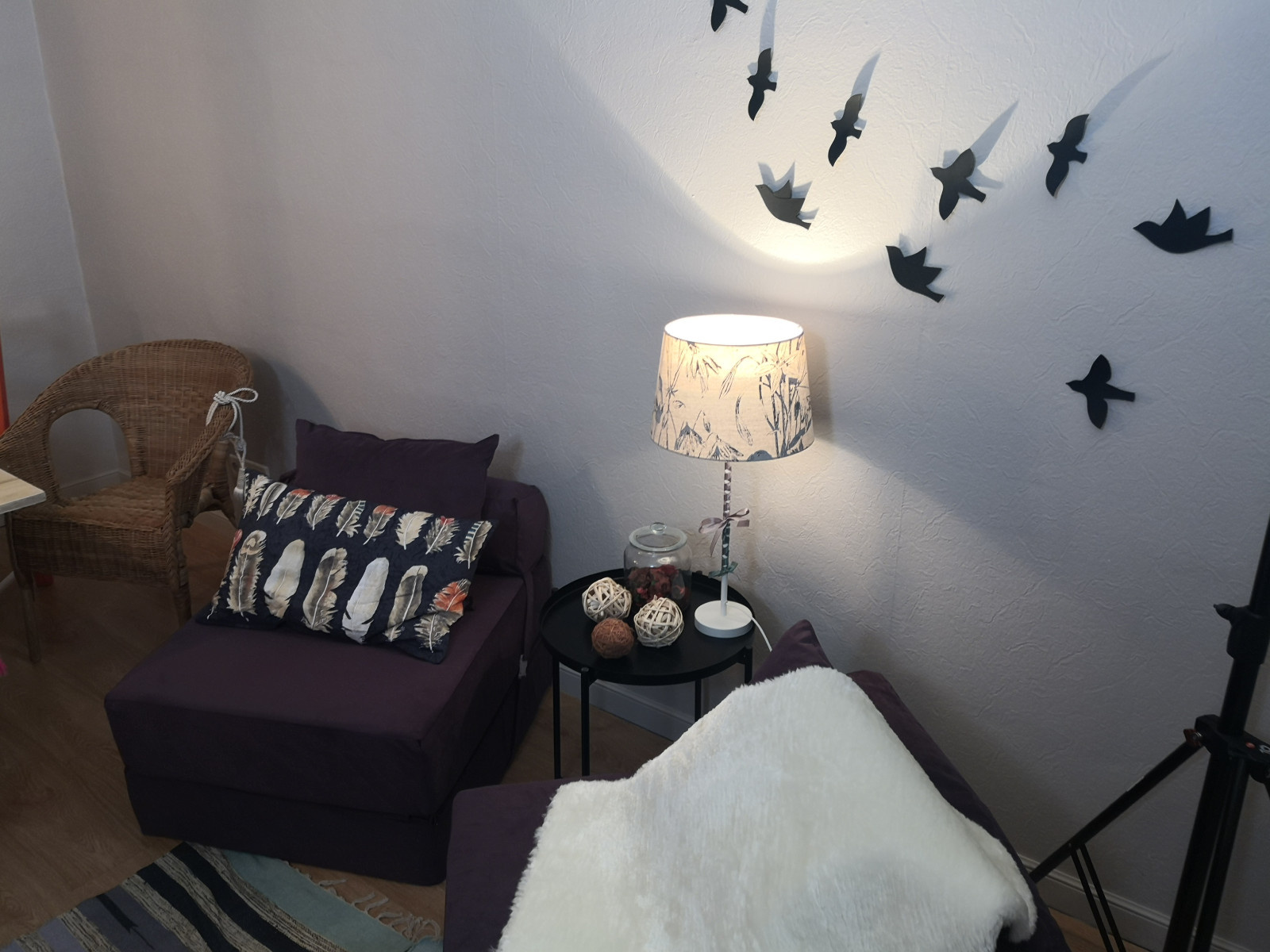 Проект для TV «День перемен»,канал Бобер