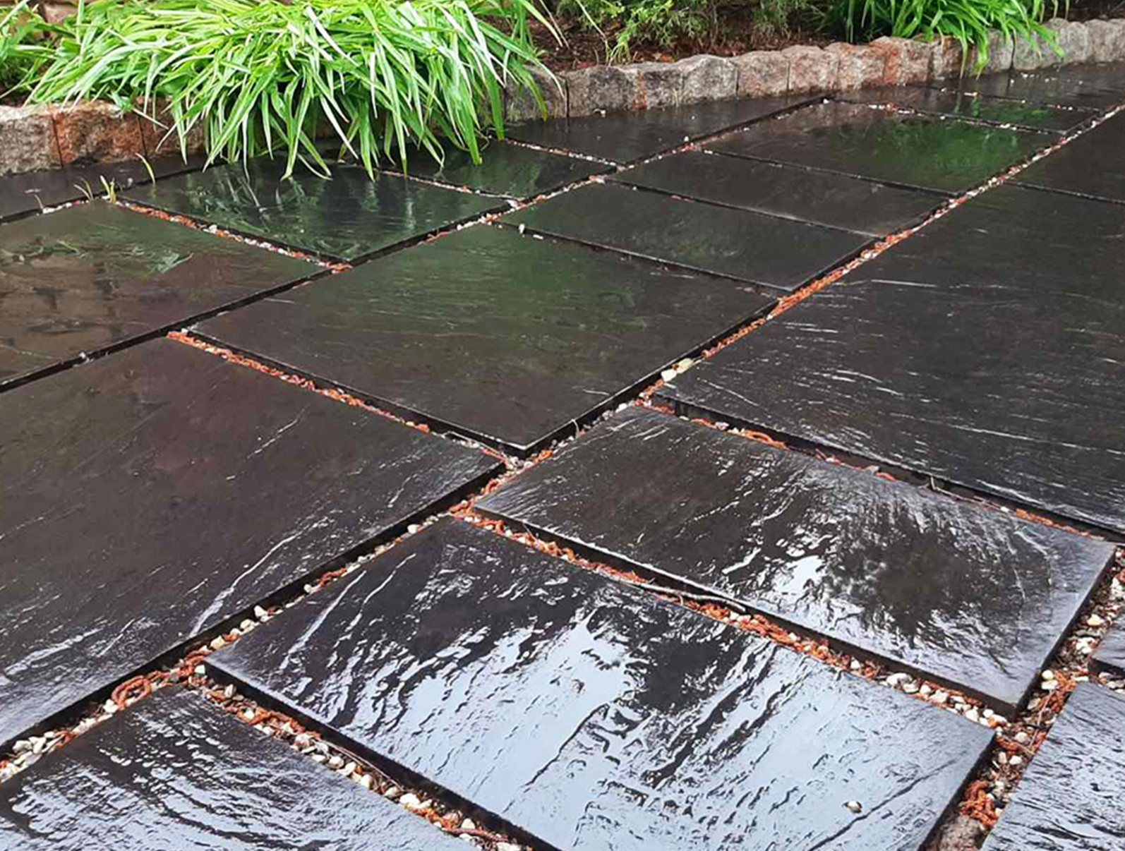 Продукция компании "Золотой мандарин"