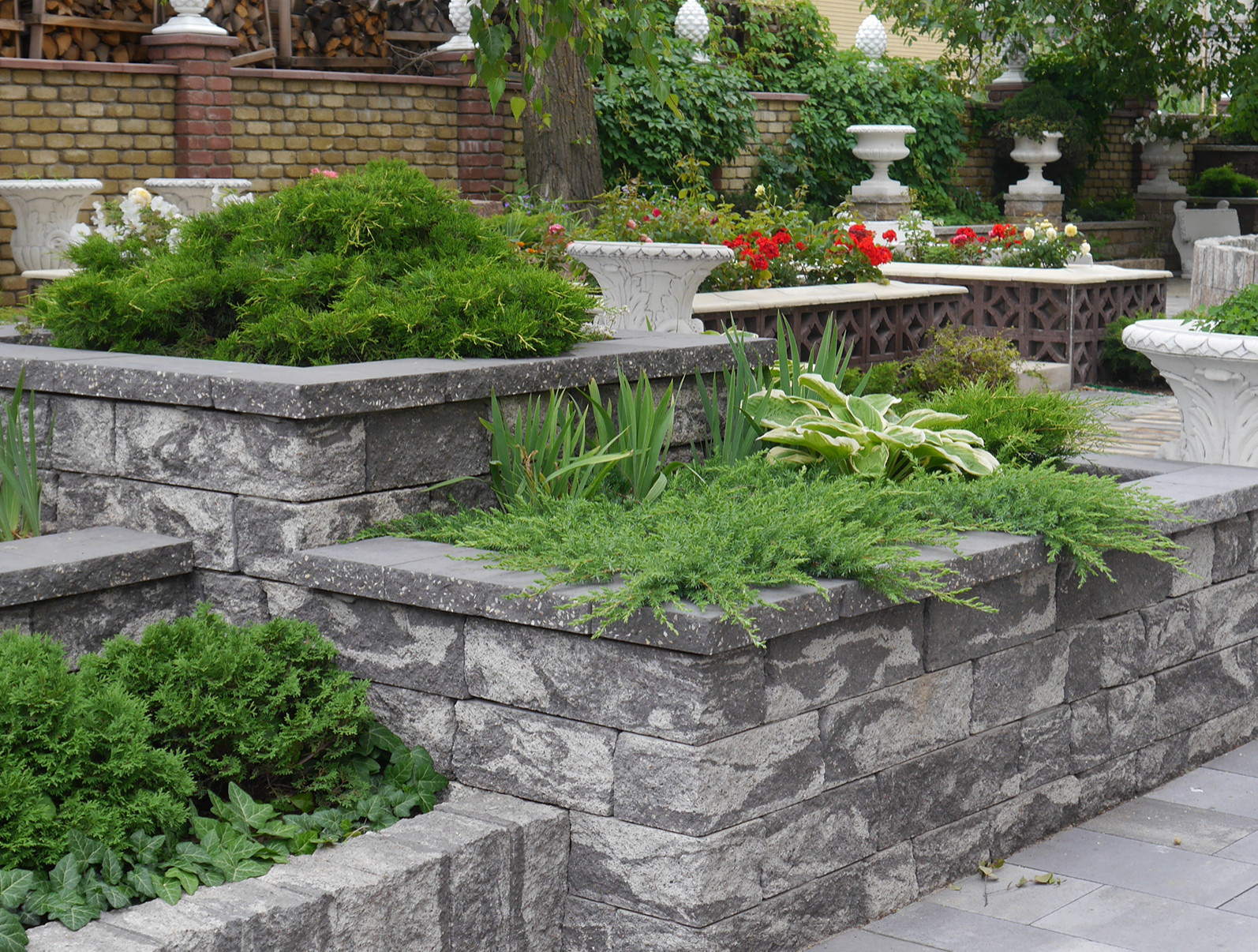 Продукция компании "Золотой мандарин"