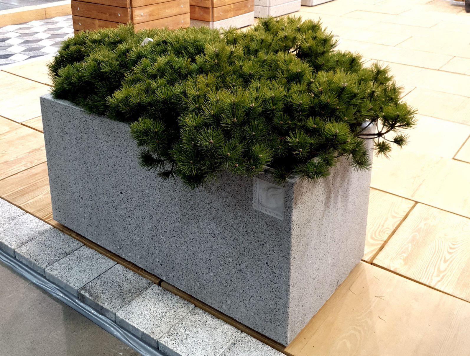 Продукция компании "Золотой мандарин"