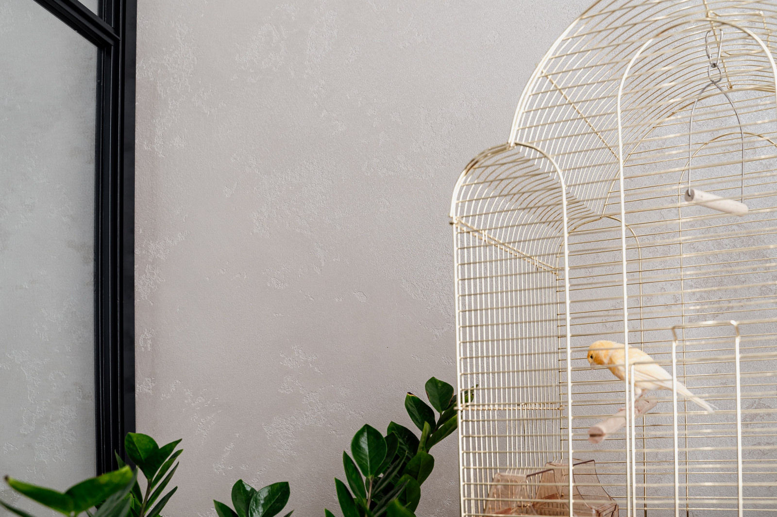 Cалон «Монополия красоты». Нанесение декоративной штукатурки