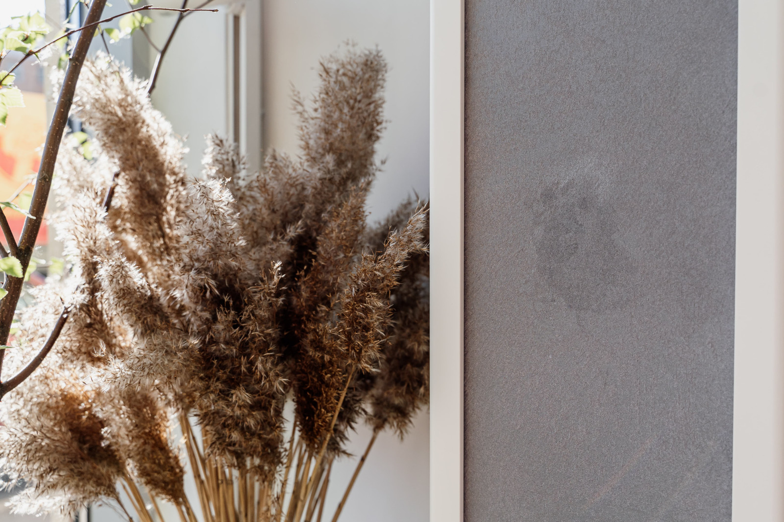 Нанесение декоративной штукатурки на стены в цветочном бутике