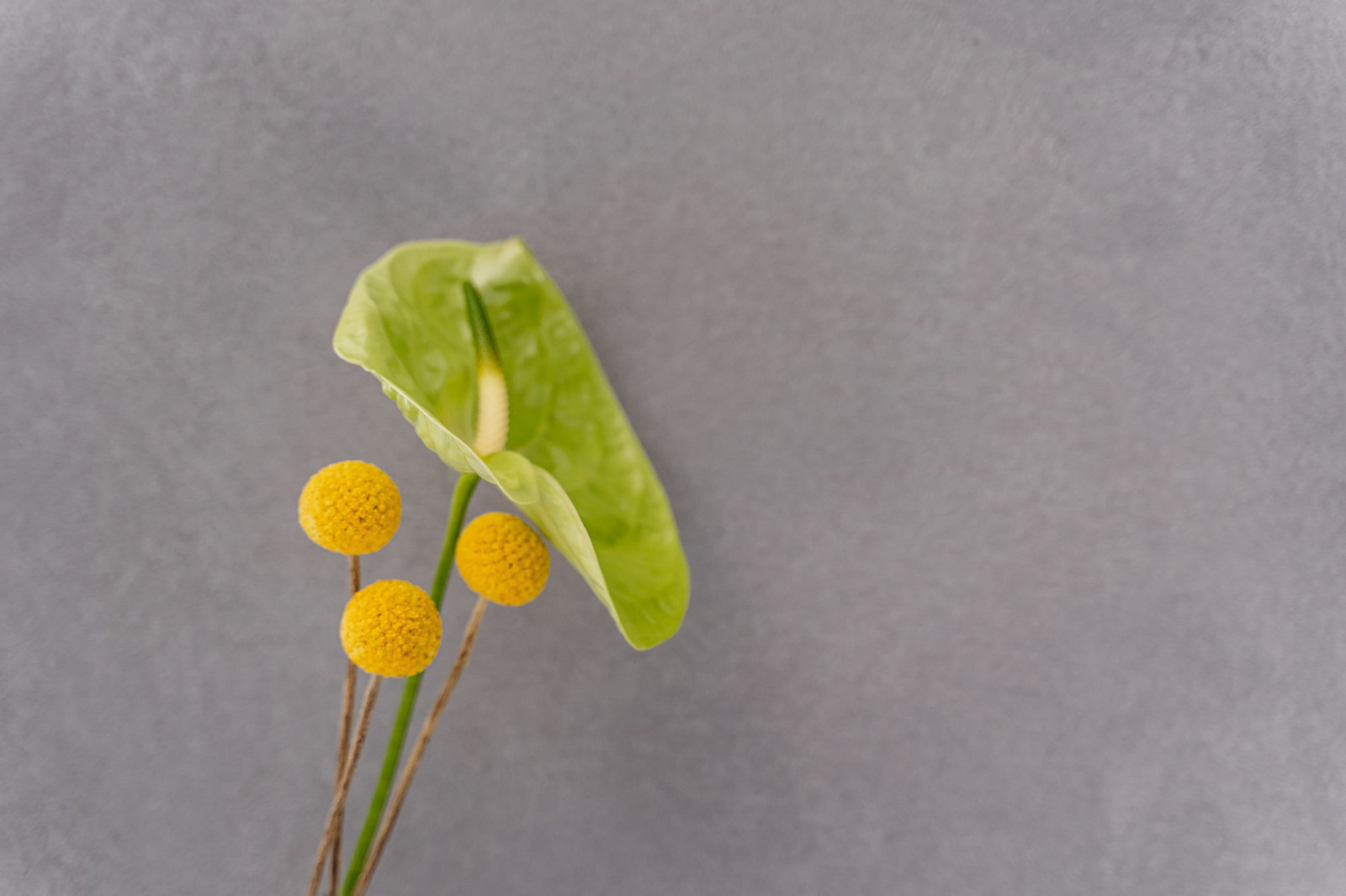 Нанесение декоративной штукатурки на стены в цветочном бутике