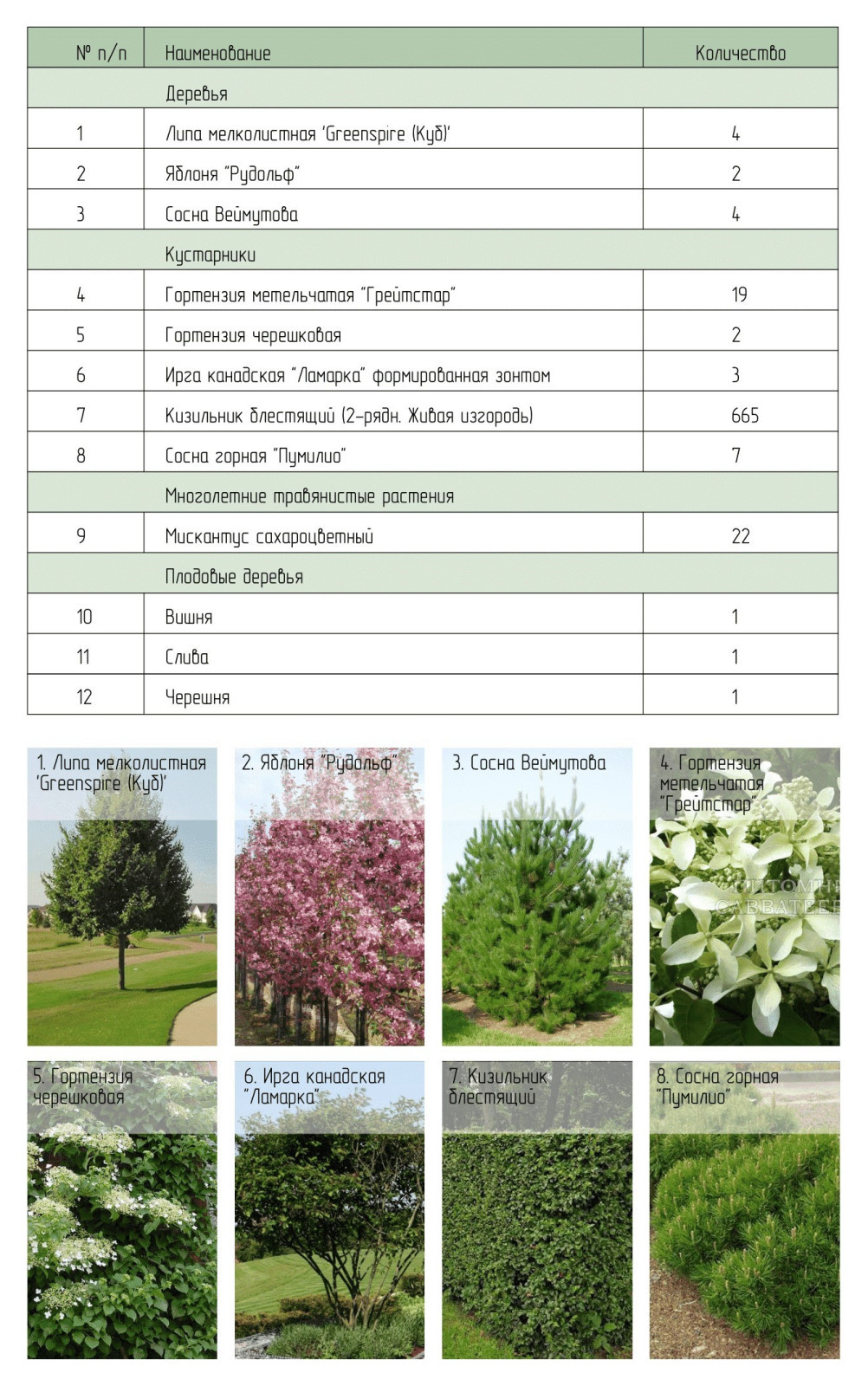 Ландшафтный проект частной территории
