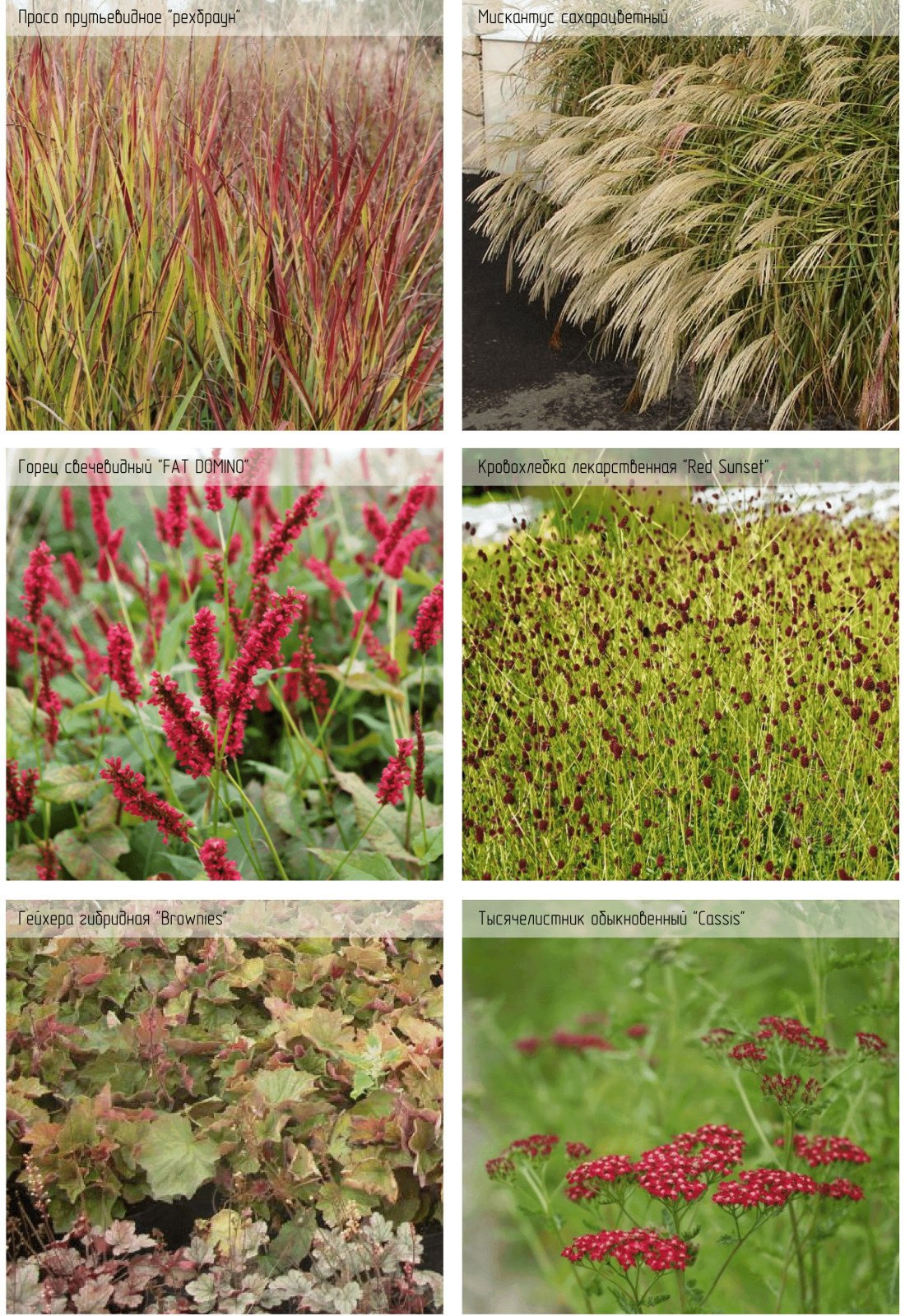 Ландшафтный проект частной территории