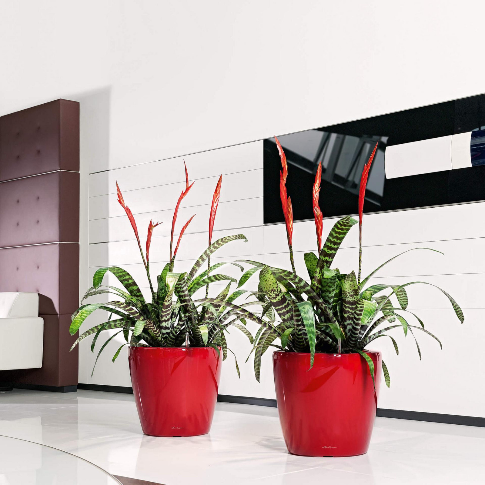 Неподвласные времени