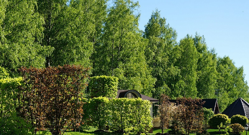 Сады по моим проектам.