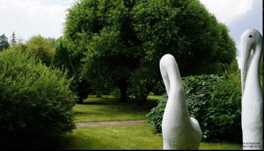 Сады по моим проектам.