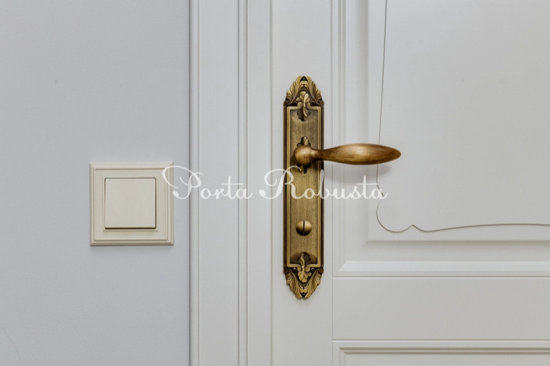 ЖК БОЛЬШЕВИК -дверь