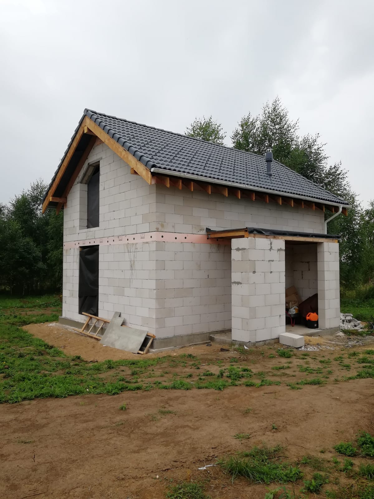 Мини-дома проект Романовский