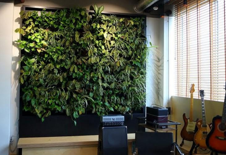 Обложка проекта: Фитостена в КП "Президент"