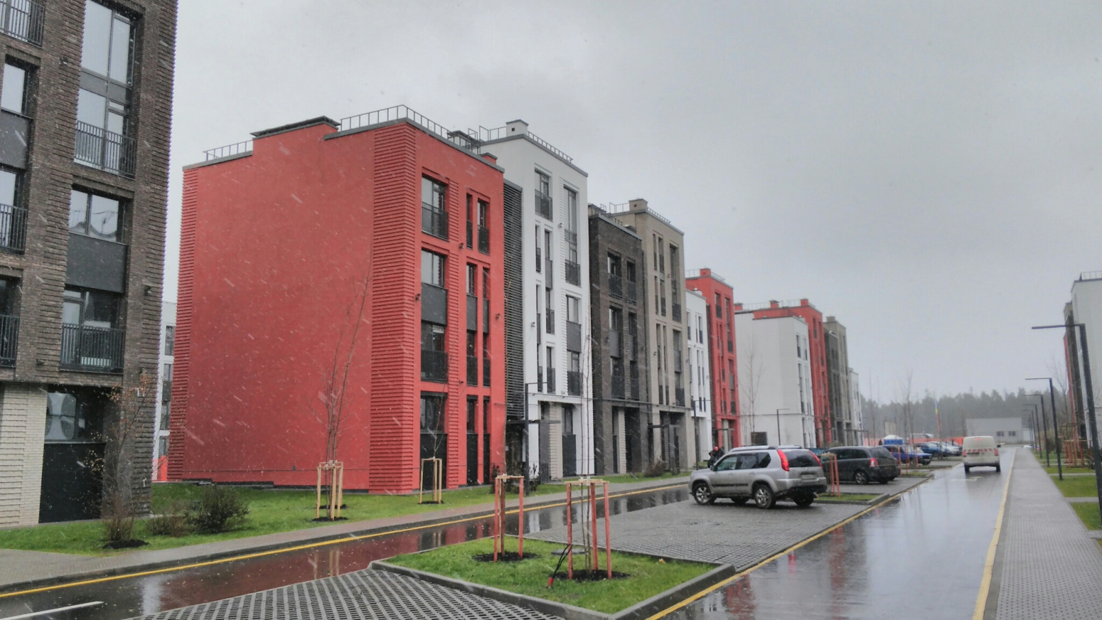 Обложка проекта: Голландский квартал