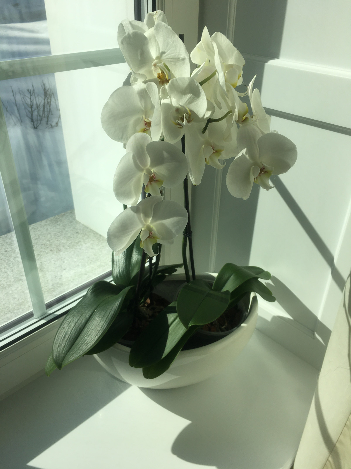 частные аппартаменты