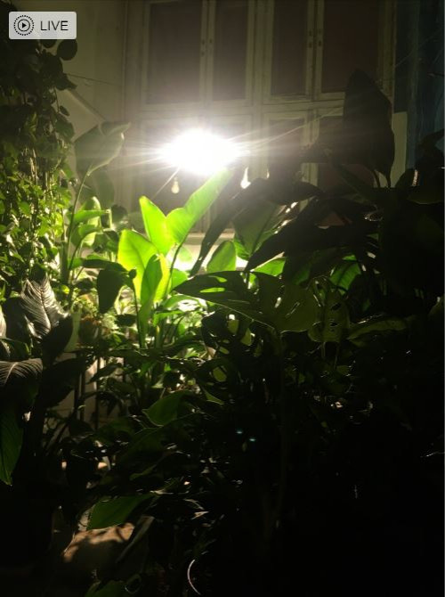 Фитнес клуб Латза