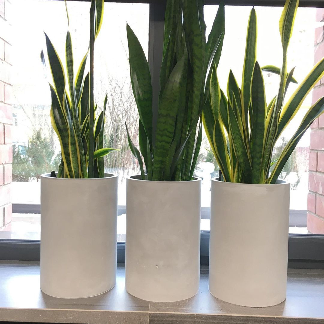 Сеть салонов красоты Аутентика