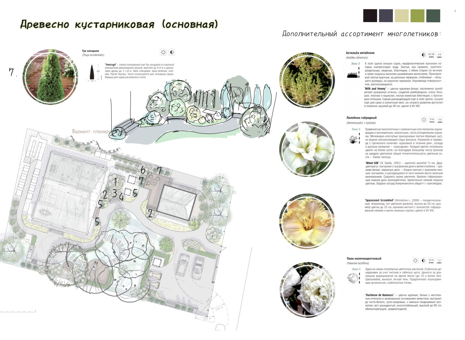 Функциональная планировка