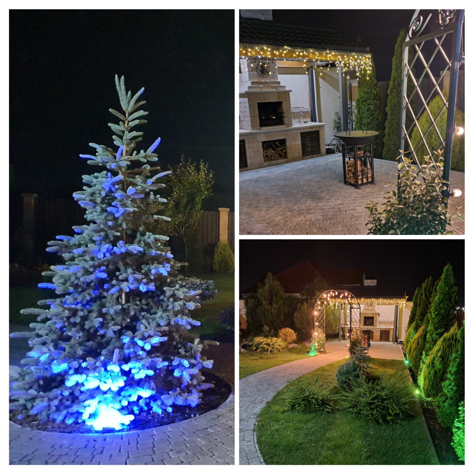 Проект "Бор"