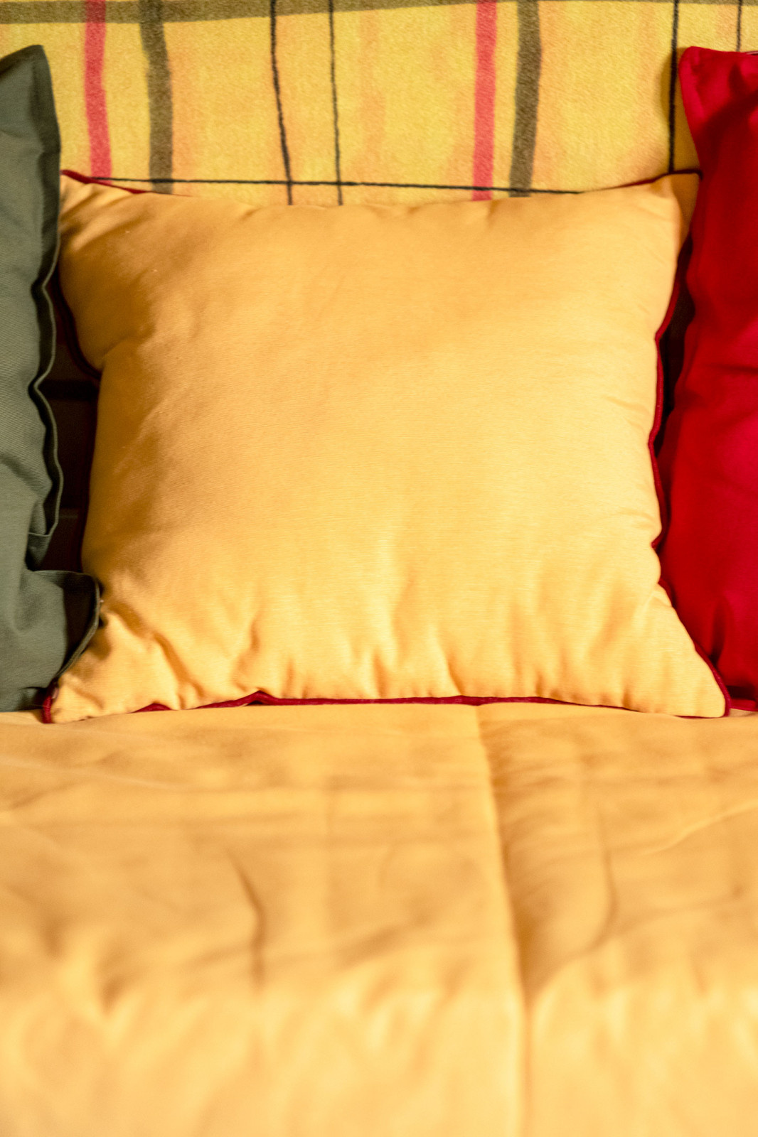 ТВ проект. Фазенда.