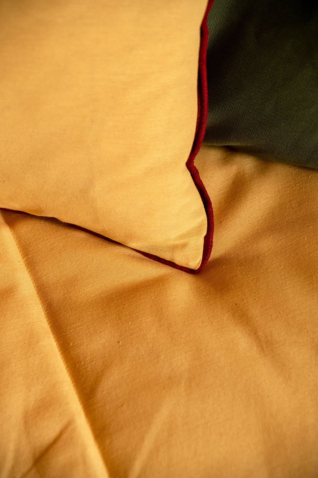 ТВ проект. Фазенда.