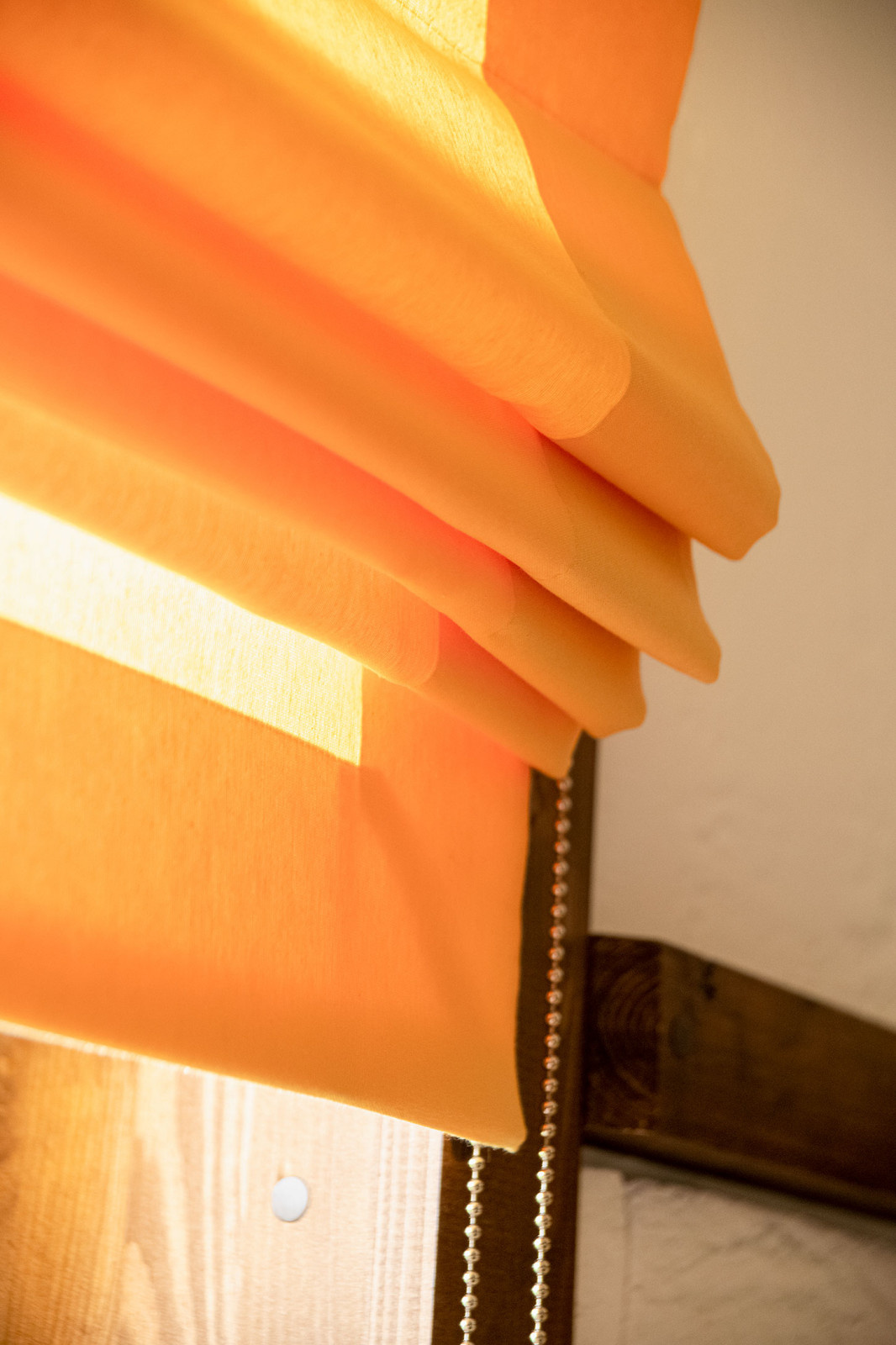 ТВ проект. Фазенда.