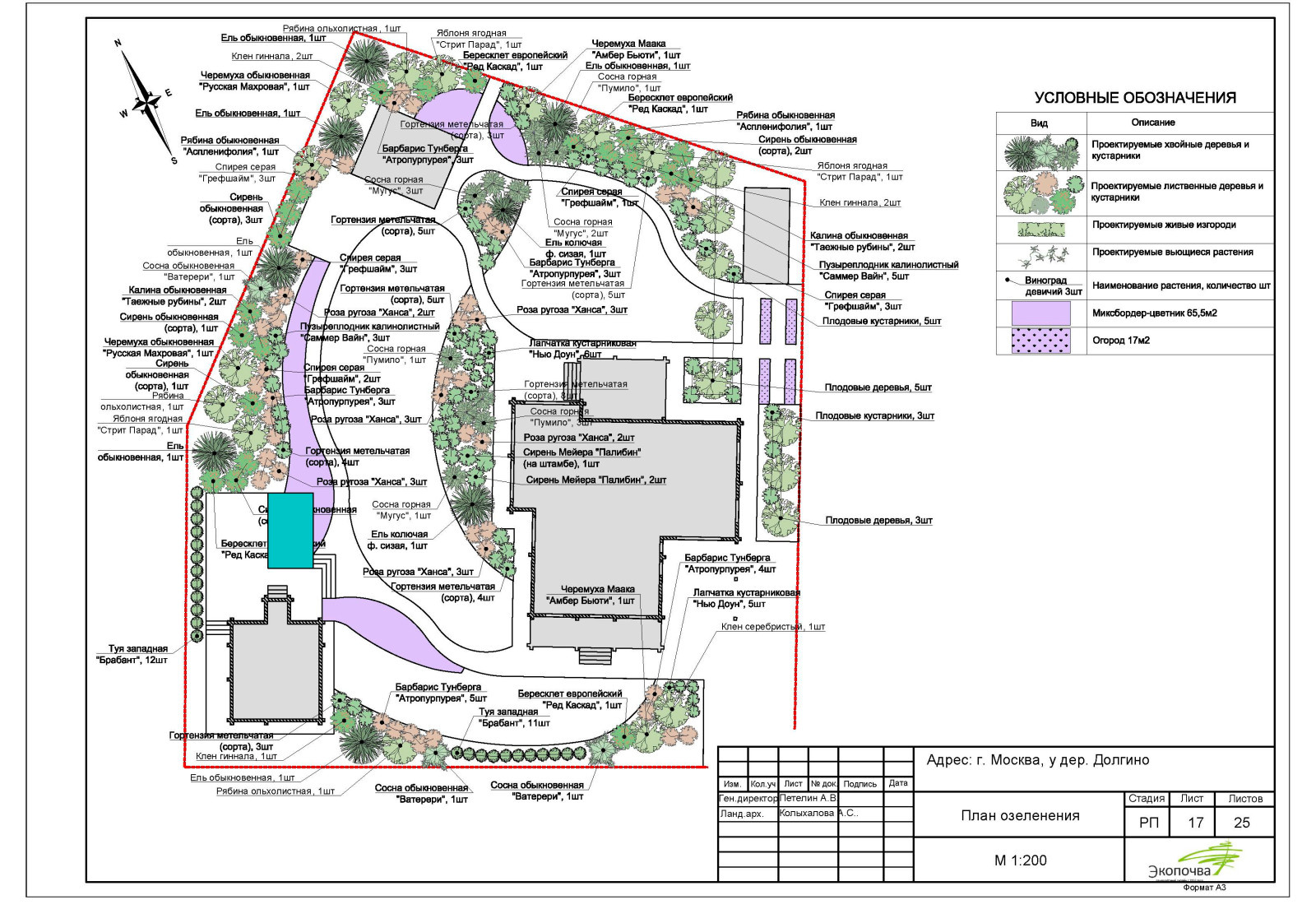 Эскизный проект 2021