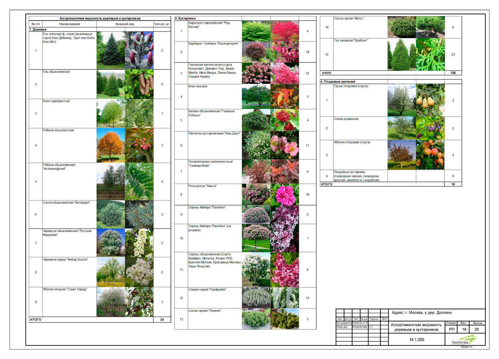 Эскизный проект 2021