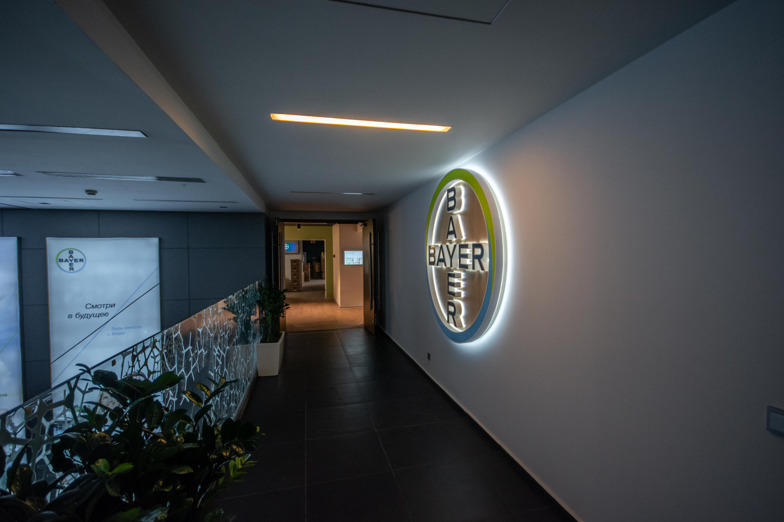 BAYER