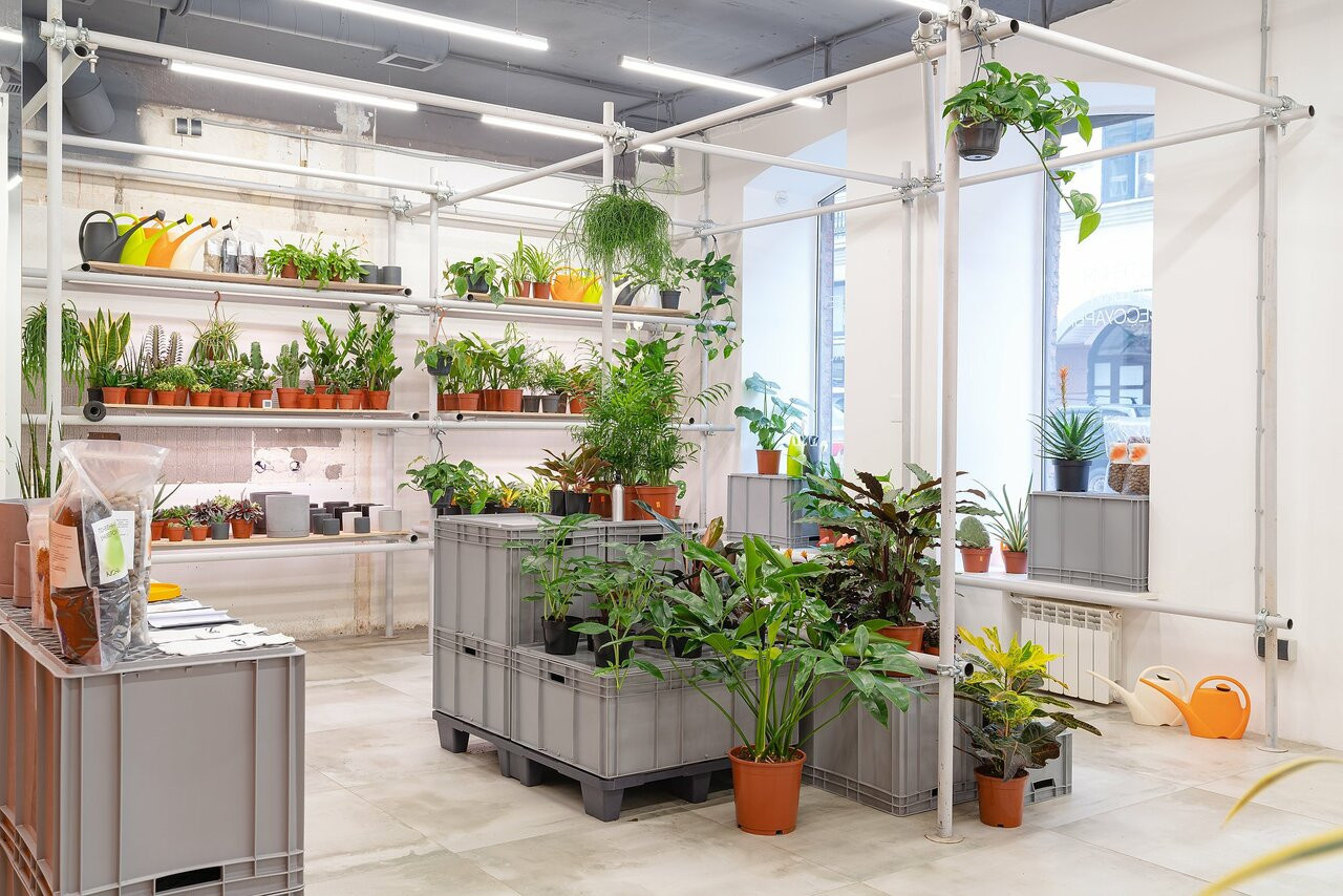 Бутик горшечных растений KIOSK