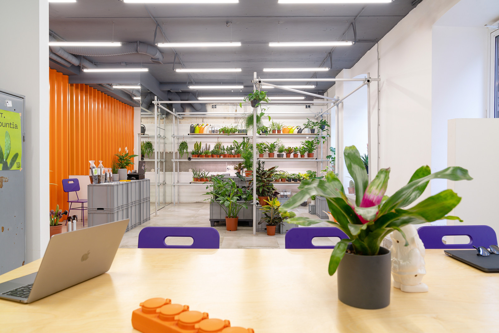 Бутик горшечных растений KIOSK