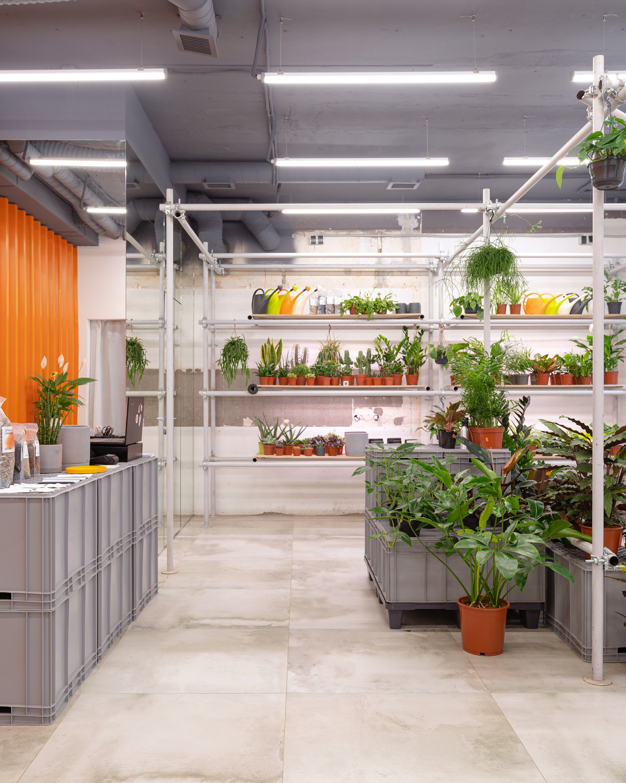 Бутик горшечных растений KIOSK