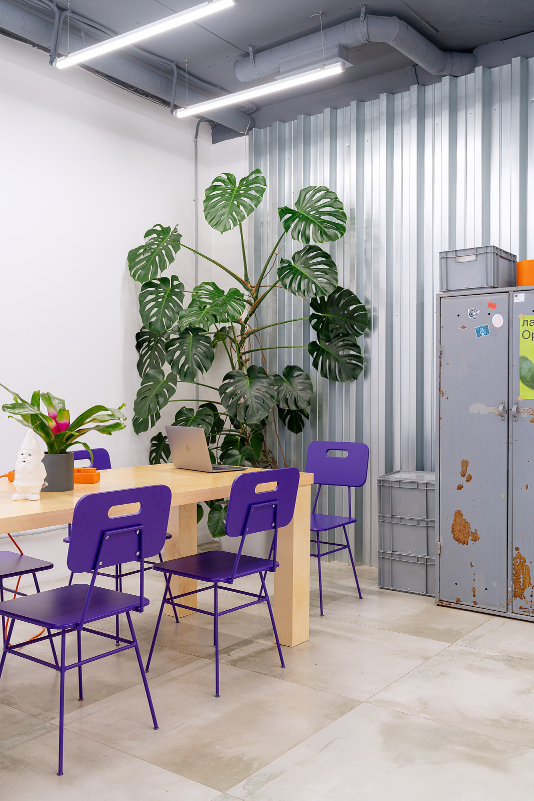 Бутик горшечных растений KIOSK