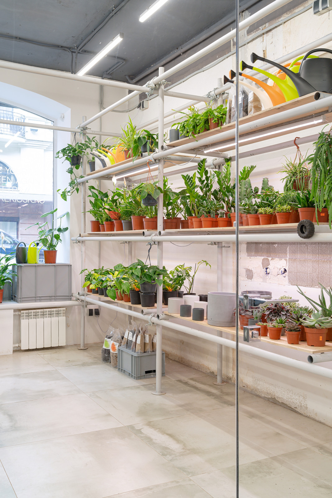 Бутик горшечных растений KIOSK