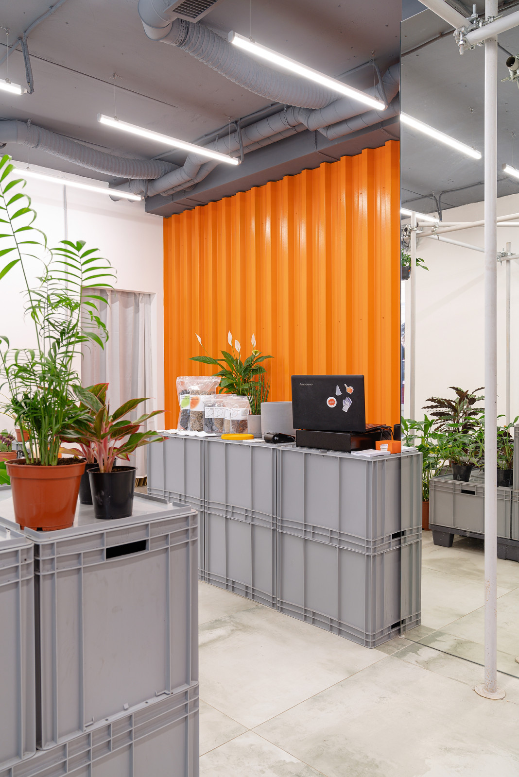 Бутик горшечных растений KIOSK