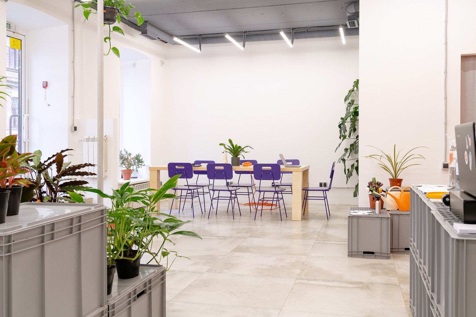 Бутик горшечных растений KIOSK