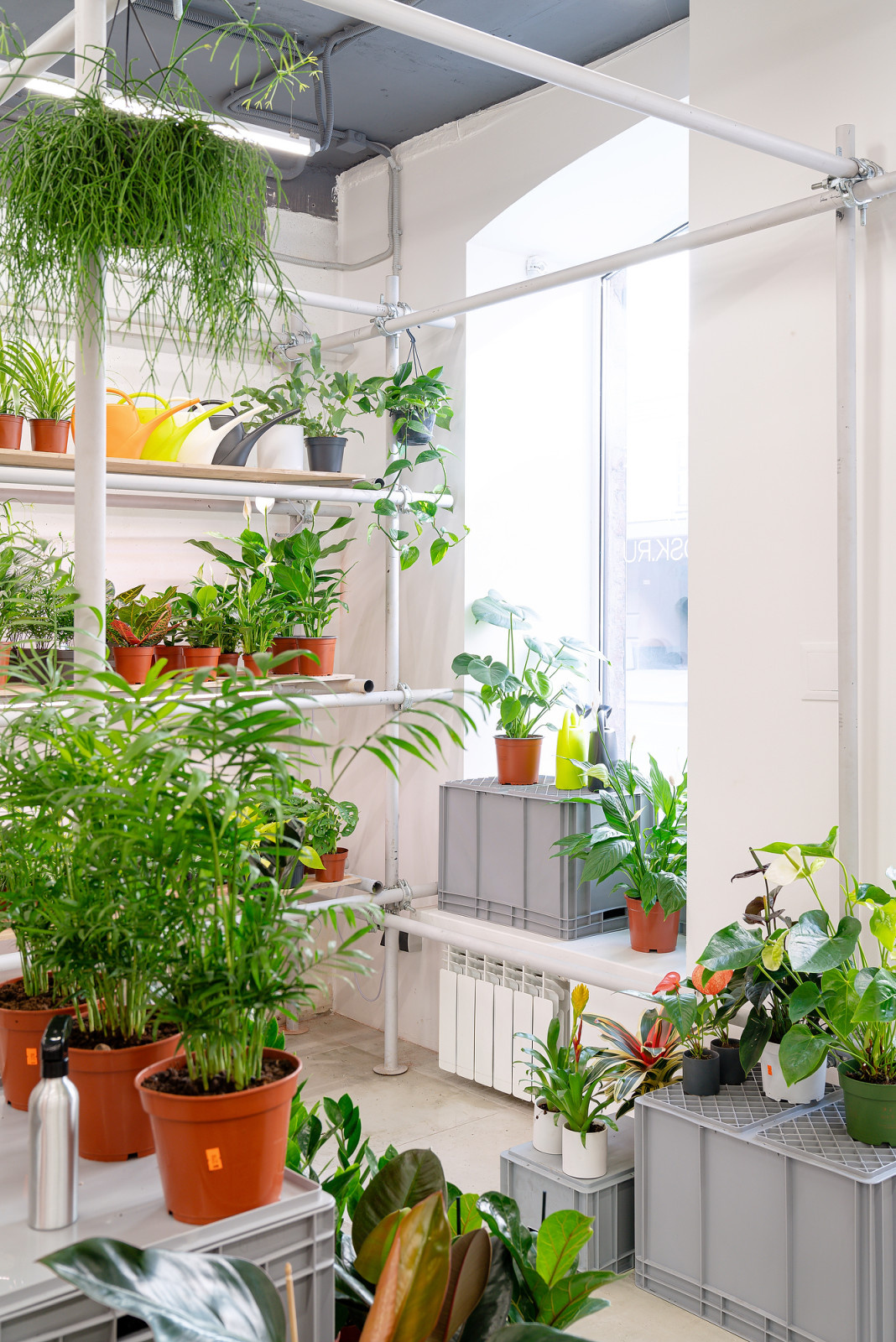 Бутик горшечных растений KIOSK