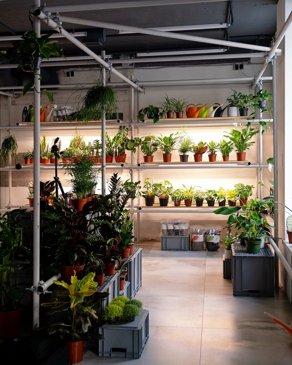 Бутик горшечных растений KIOSK